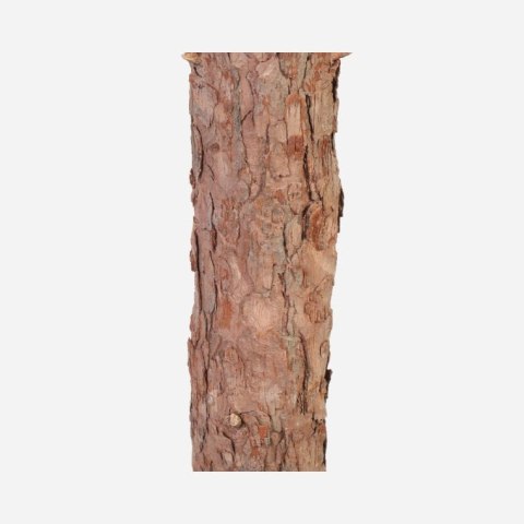 Drzewko Dekoracyjne Wielosezonowe – Naturalny Pień – 180 cm