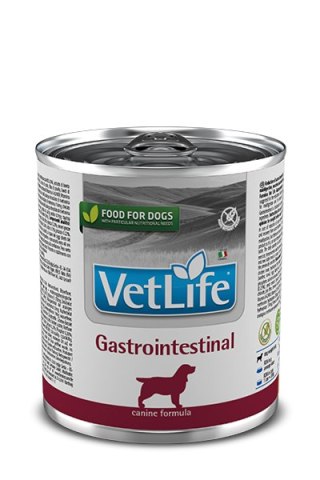 Danie z Kurczakiem i Ryżem (Gastrointestinal) - 300 g
