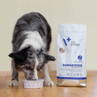 Karma z Łososiem i Ziemniakami (Veterinary Diet Dog Dermatosis) - 2 kg