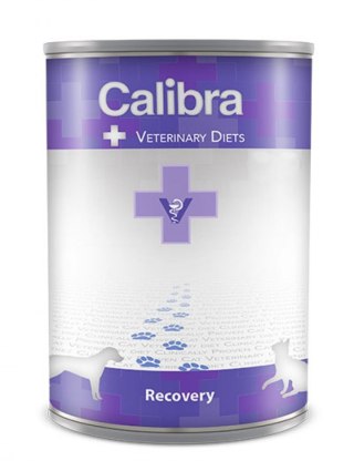 Danie z Rybą i Kurczakiem (Veterinary Diets Recovery Dog/Cat) - 400 g