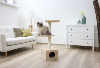 Drapak dla Kota z Domkiem - 85 cm