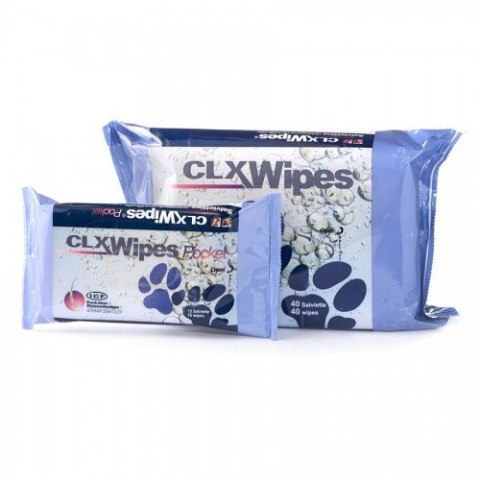 Chusteczki Clorexyderm (Geulincx) - 20 szt.