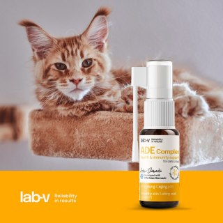 Kompleks Witamin A, D, E w sprayu (Lab-v ADE Complex) - 2 x 10 ml