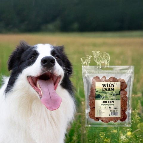 Przysmaki Funkcyjne z Jagnięciny (Wild Farm Chipsy) - 500 g