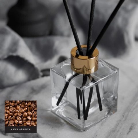 Dyfuzor Zapachowy: Kawa Arabica (Chocolate & Wood) – 100 ml