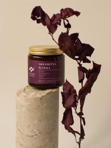 Świeca Sojowa: Aksamitna Śliwka (Kardamon i Bursztyn) – 120 ml