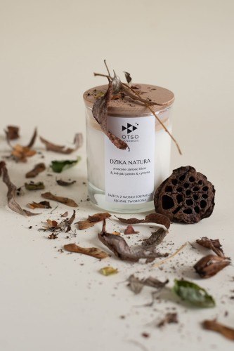 Świeca Sojowa: Dzika Natura (Bambus i Zielone Liście) – 250 ml